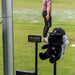 A Phone on a stand next to a FlightScope teddy bear on a stand in an enclosure with video on the phone of a golfer hitting with a Mevo+ Limited Edition outside the enclosure on a golf range