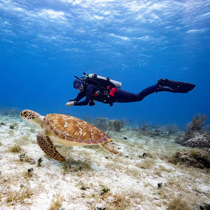 Garmin Descent X30 Dive Computer