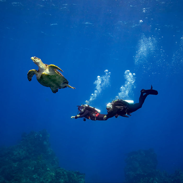 Garmin Descent X30 Dive Computer